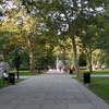 Washington Square Washington Square