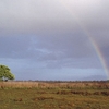 Wasur National Park Wasur National Park