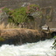 Pechiparai Dam