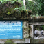 Ubud Monkey Forest Ubud Monkey Forest