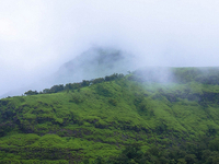 Walking Safaris and Wildlife Tours in Western Ghats