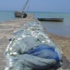 Pemba Island