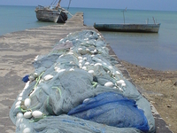 Pemba Island
