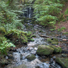 Allensford Allensford