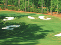 White Columns Golf Club White Columns Golf Club