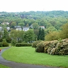 Bingham Park Bingham Park