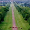 Windsor Great Park Windsor Great Park