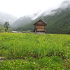 Chitkul Chitkul