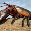 The World's Largest Lobster