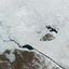 Wrangel Island Wrangel Island