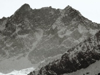 Corno Bianco