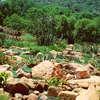 Witwatersrand