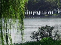 Xuanwu Lake Xuanwu Lake