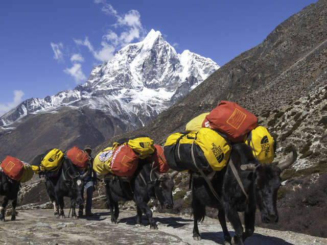Island Peak & Everest 18 Days photo 5
