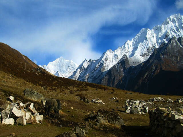 Yala Peak (left) 5,520 M