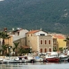 Yenifoca Yenifoca