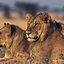 Tanzania