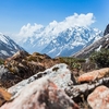 Yumthang Valley