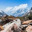 Yumthang Valley Yumthang Valley