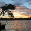 Yanchep Yanchep