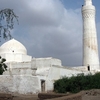 Zabīd