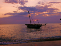 Explore Zanzibar