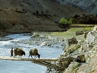 Yapola River