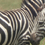 Southern Omo Valley Adventure of Ethiopia