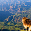 TREKKING AT THE HIGHEST PEAK OF ETHIOPIA WITH THE DRAMATIC LANDSCAPE OF SIMIEN MOUNTAIN