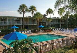 Magic Tree Resort Kissimmee United States Tourist Information