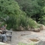 Seronera Wildlife Lodge