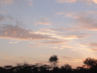 Dsc02971