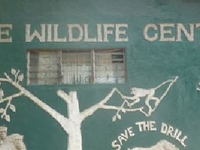 Center Entrance