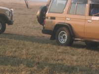 Game Drive Game Drive