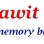 Dawit Solomon