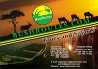 Bush Routes Bush Routes