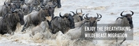 Africa Safaris Africa Safaris