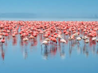 Lake Nakuru Safari Lake Nakuru Safari