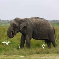 Srilanka Tourism