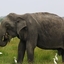 Srilanka Tourism