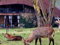 Best of Kenya and Tanzania Package Best of Kenya and Tanzania Package