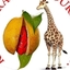 Khatib Tours