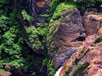 Nature Tours Nature Tours