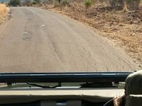 Pilanesberg On The Road Pilanesberg On The Road