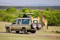 Arkman Safaris