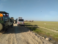 Acquire-adventures Safaris Acquire-adventures Safaris
