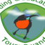 Birding And Educational Tours Rwanda Birding And Educational Tours Rwanda