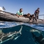 Crystal Divers South Africa Crystal Divers South Africa