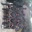 Acofregco Cooperative