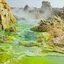 Agesha Tours